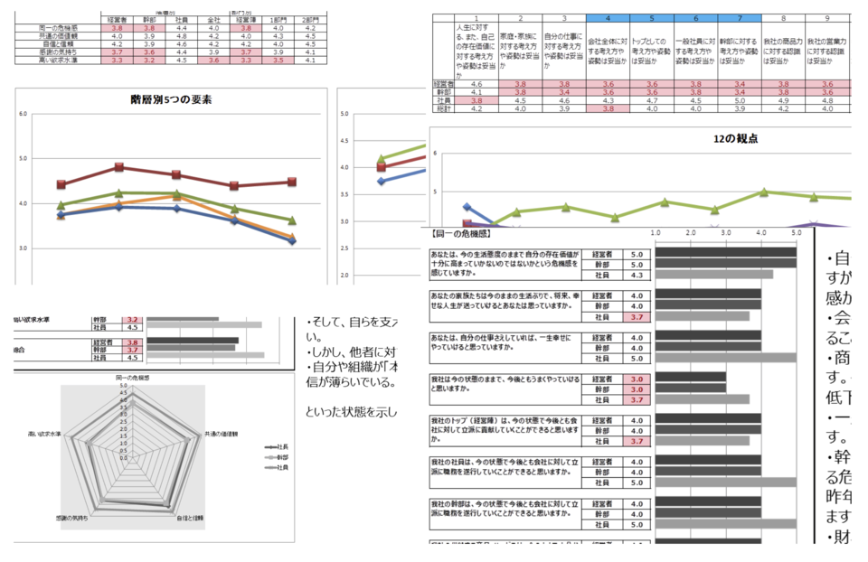 esreport_診断イメージ-報告書