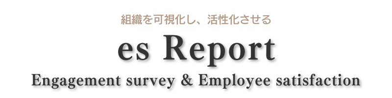 esreport_トップタイトル